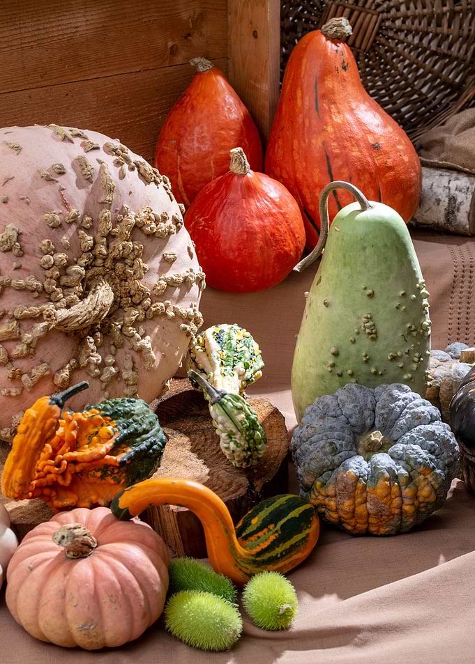pumpkins