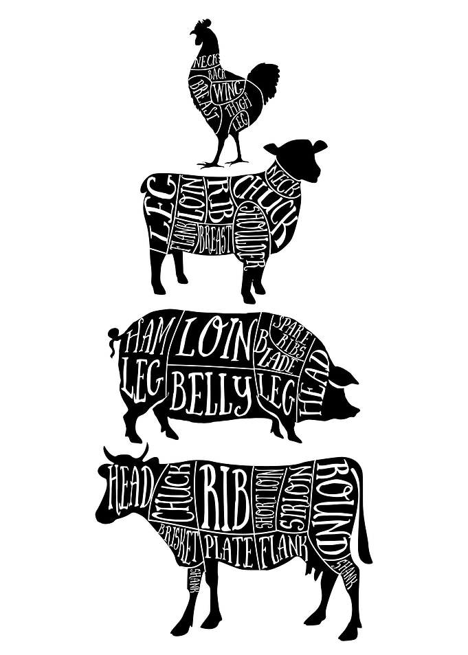 animal butcher cuts