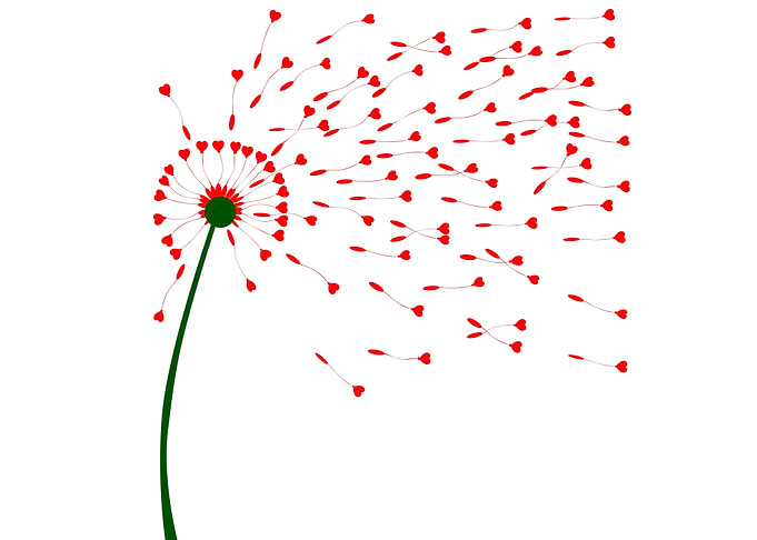 Dandelion Heart Seeds