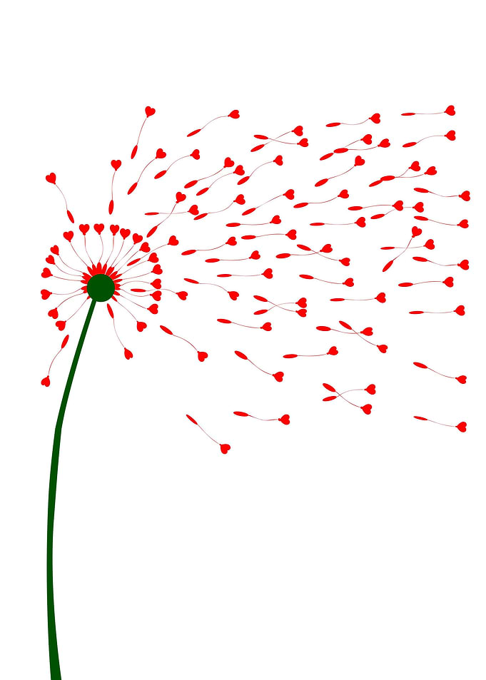 Dandelion Heart Seeds