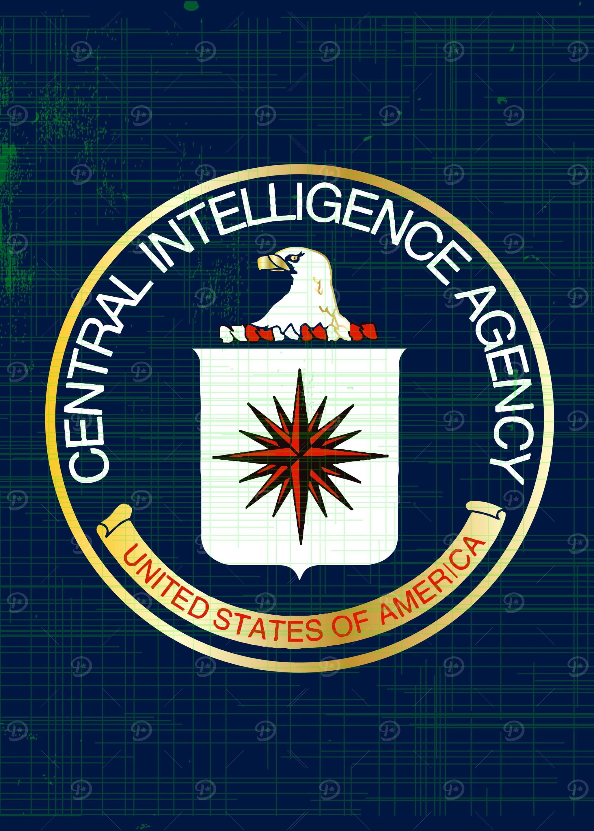 CIA Flag Grunge