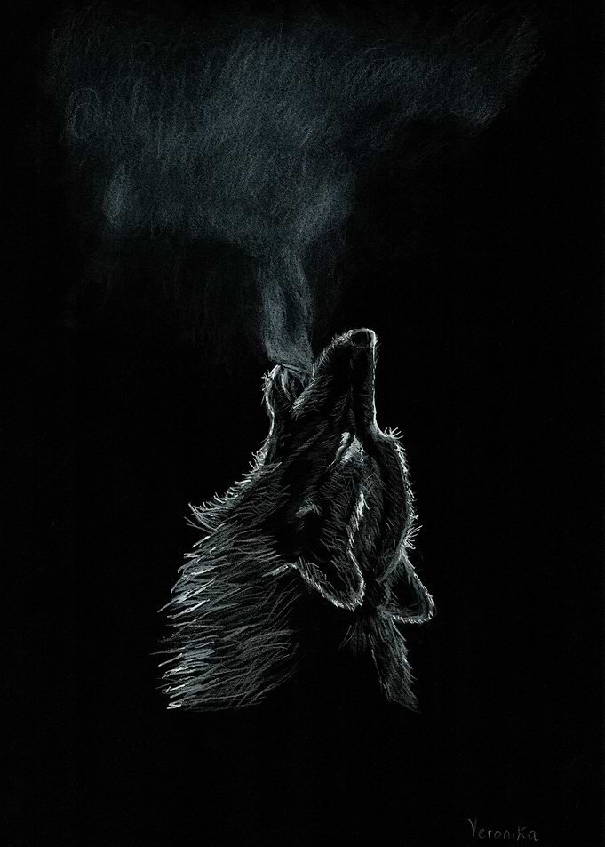 wolf