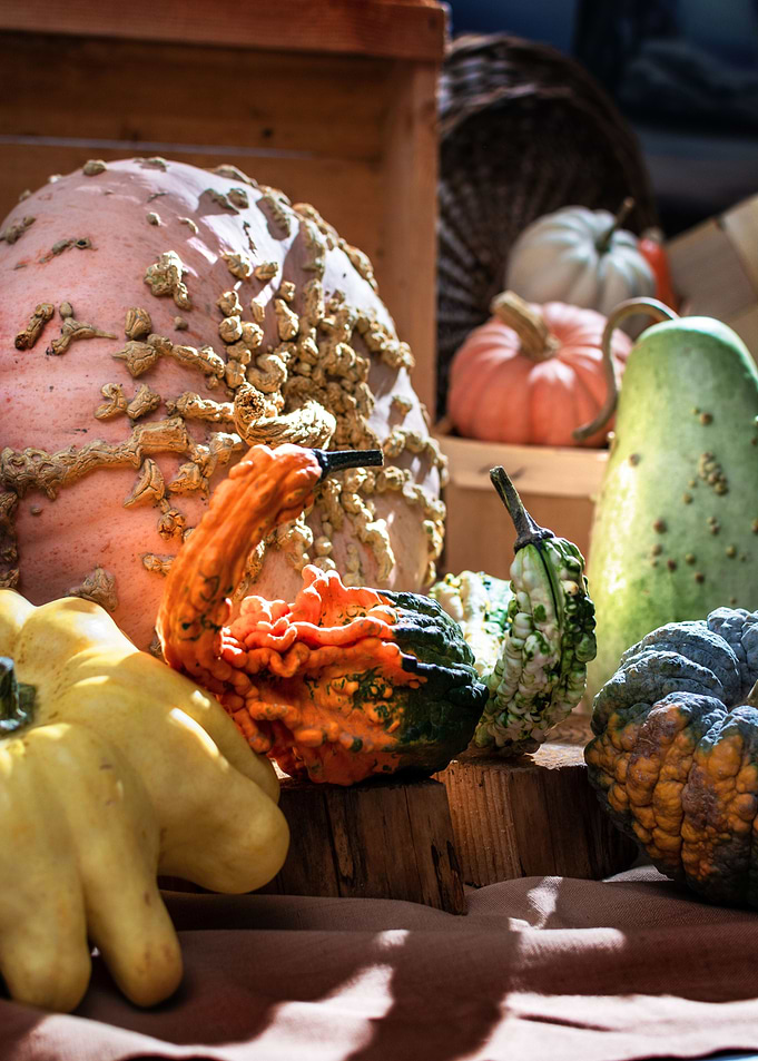 pumpkins