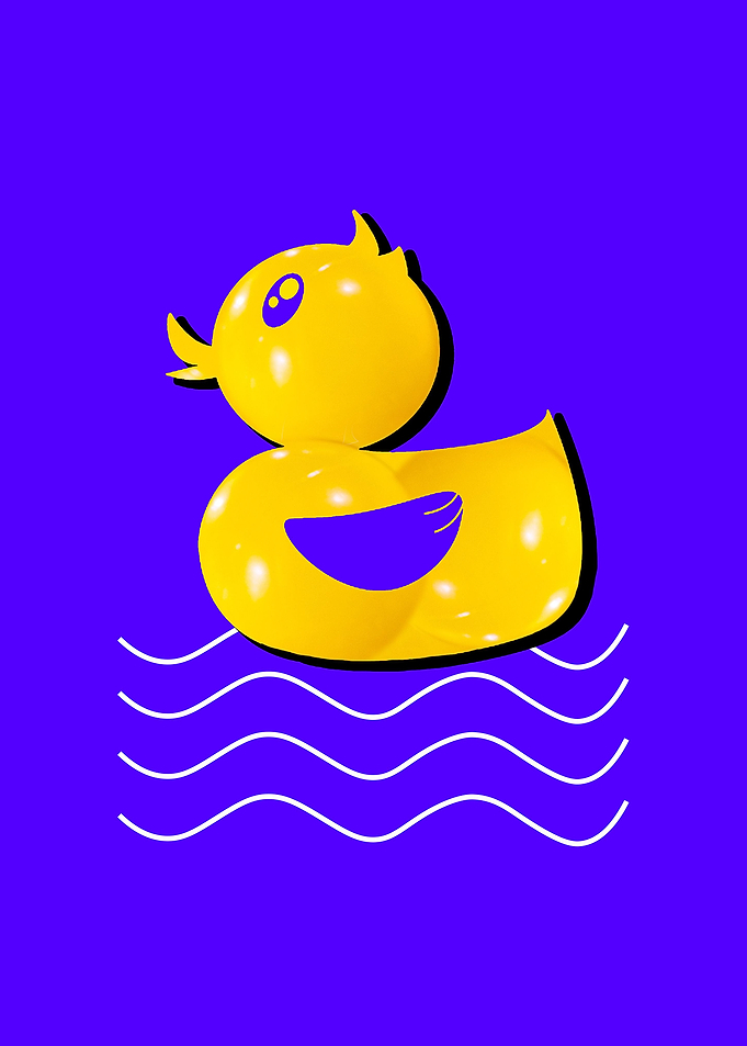 Abstract Duck