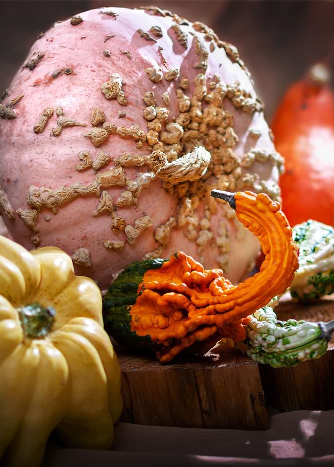 pumpkins close up