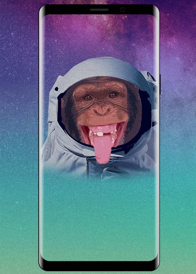 monkey