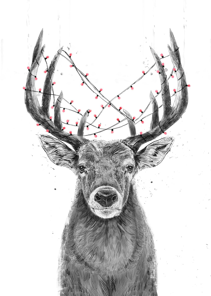 Xmas deer
