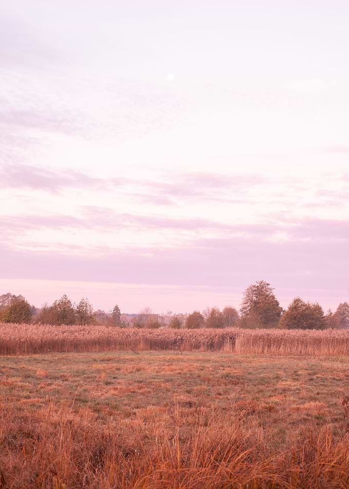 Autumn sunrise