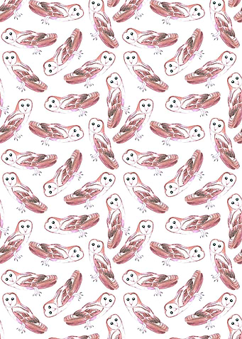 Barn owl or Tyto alba bird