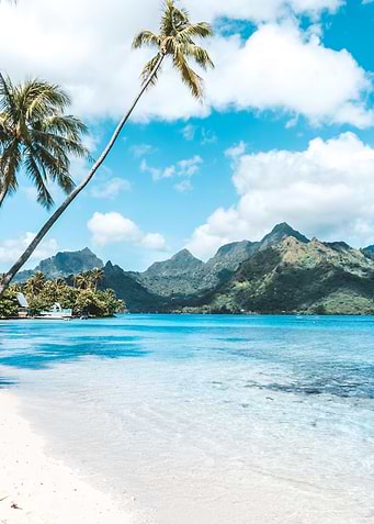 Moorea Beach Bliss