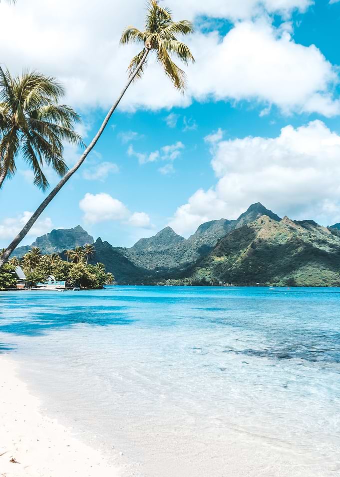 Moorea Beach Bliss