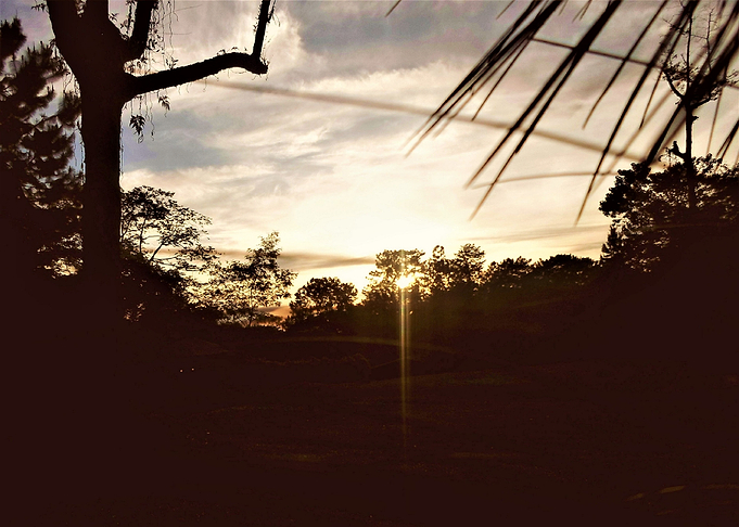 Last Light