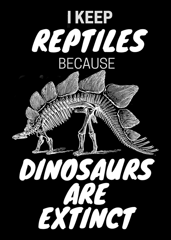Stegosaurus Reptile Keeper