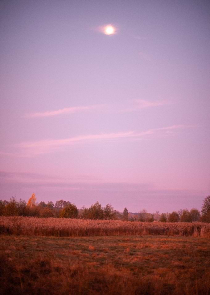 Sunrise