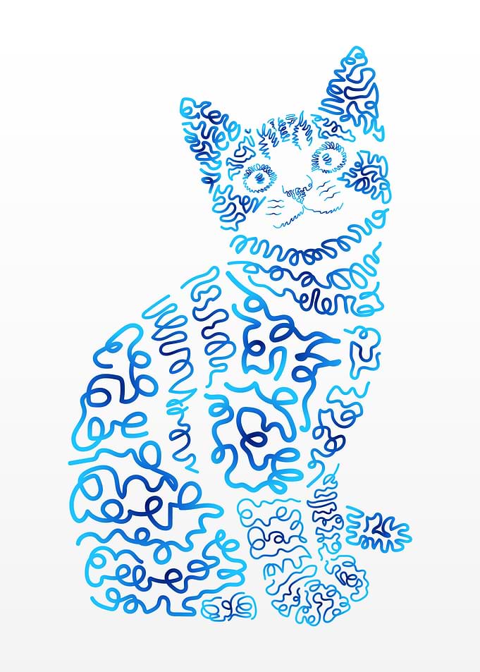 Cute Cat