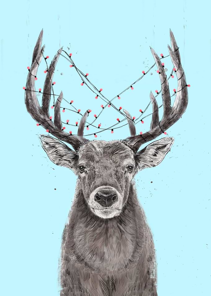 Xmas deer II