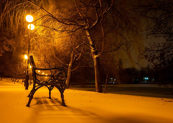Quiet night in the parc