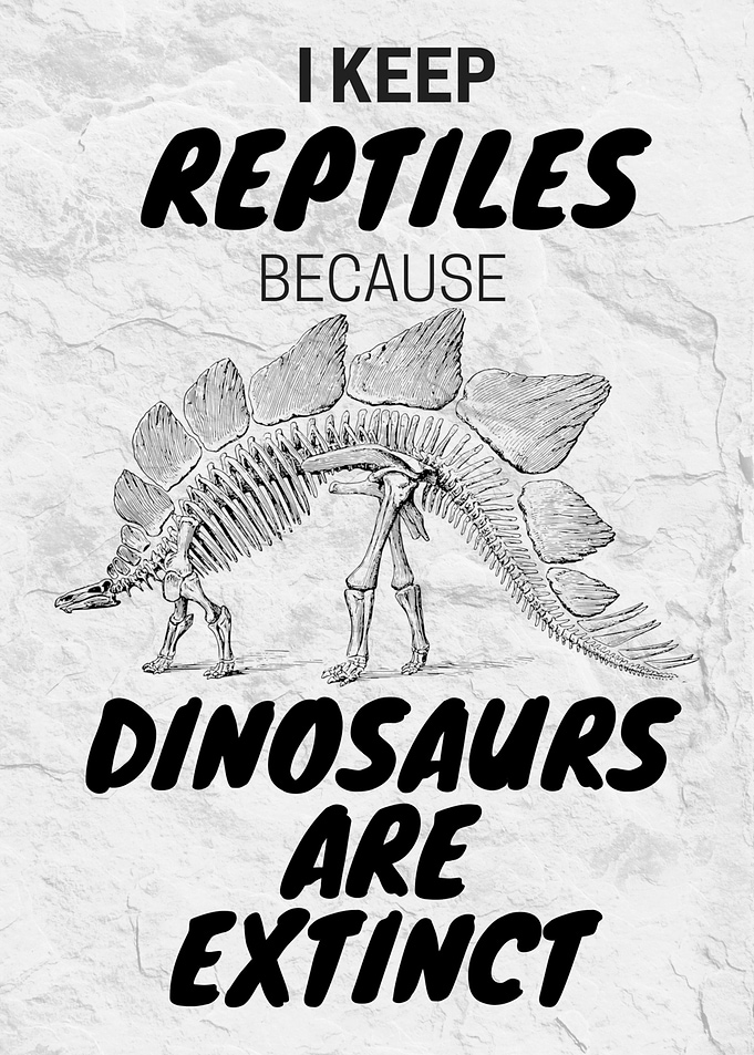 Stegosaurus Reptile Owner