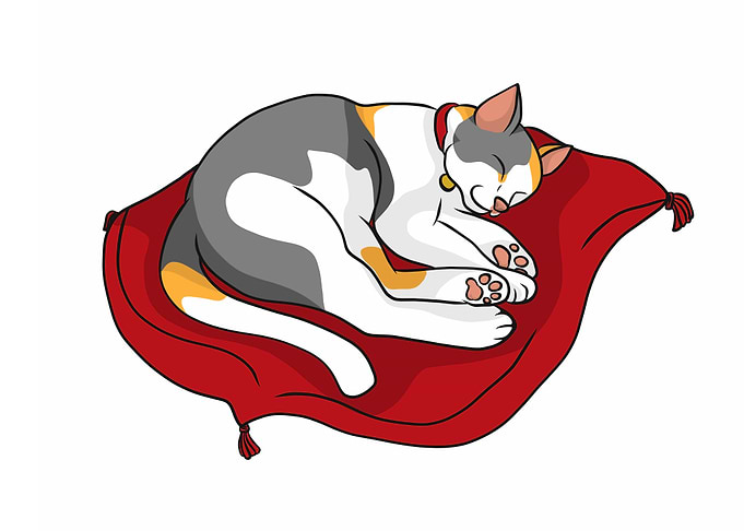 Lucky cat sleeping