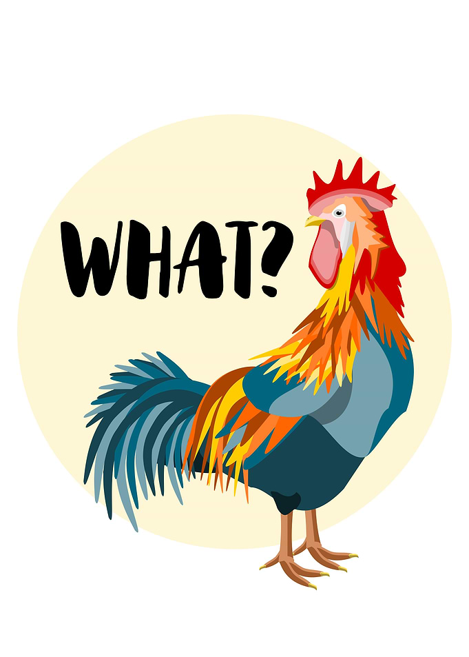 Rooster What