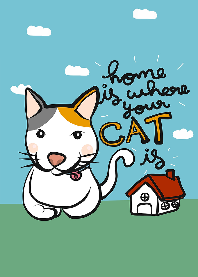 Home is where your cat is