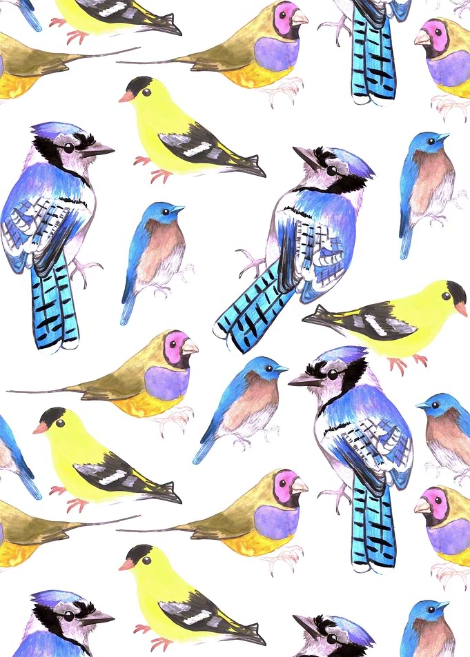 watercolor birds in tetrad