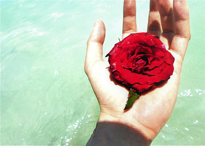 Rose Stigmata
