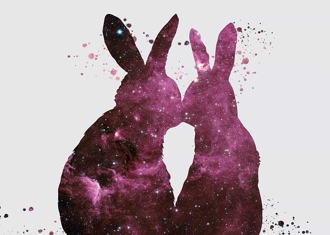 Bunnies in love