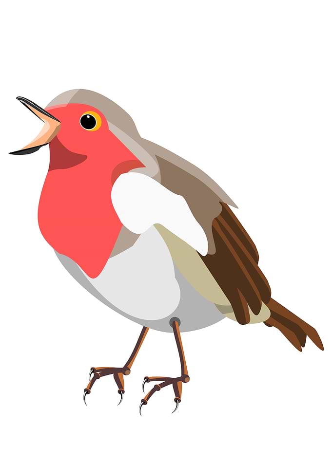 Red Robin