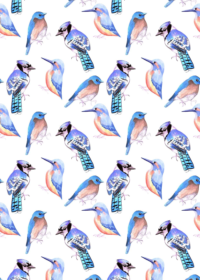 Birds in shades of blue