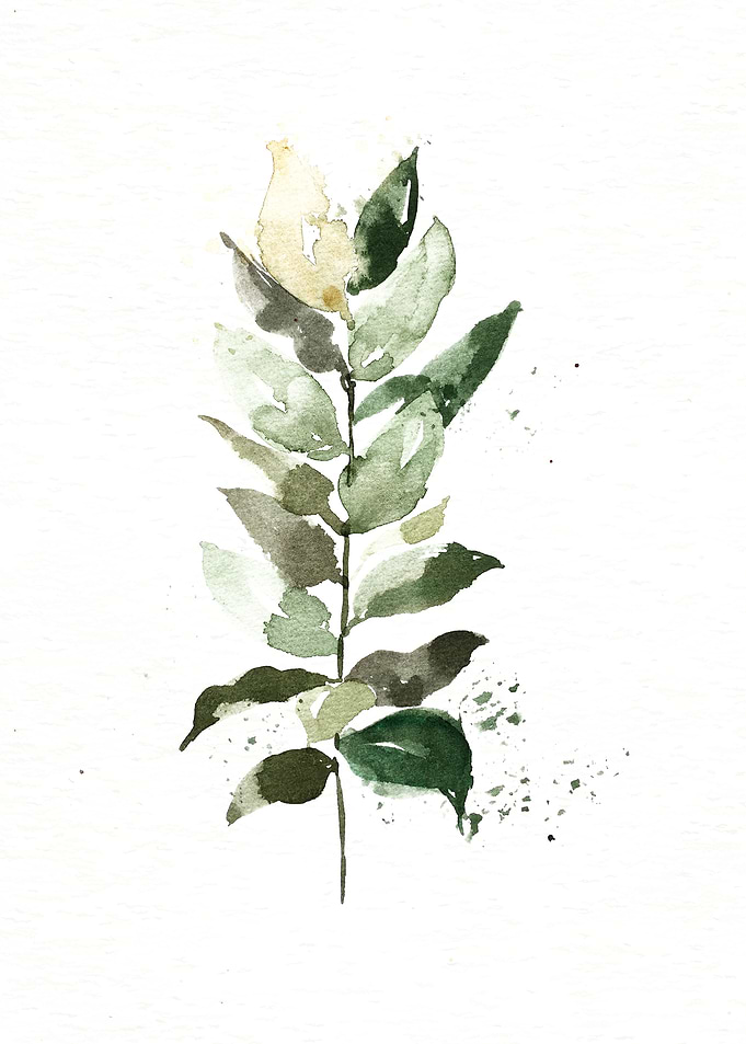 Botanical