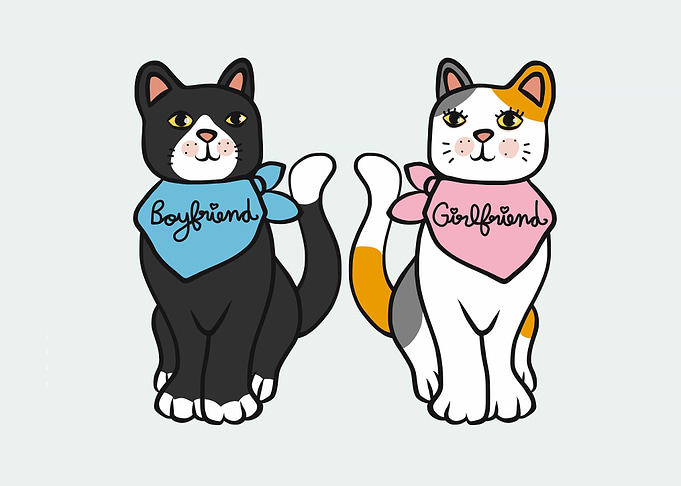 Boyfriend Girlfriend cat