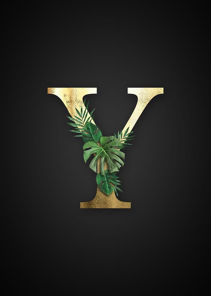 Alphabet y