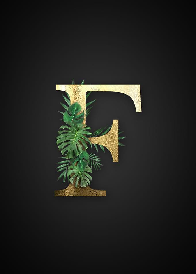 Alphabet f