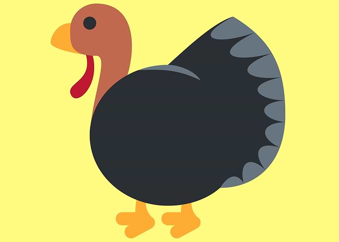 cute drawing of a bird