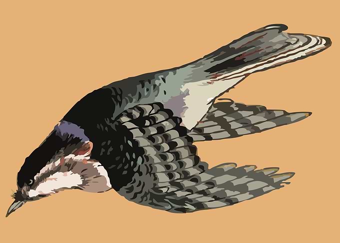 cute drawing of a bird