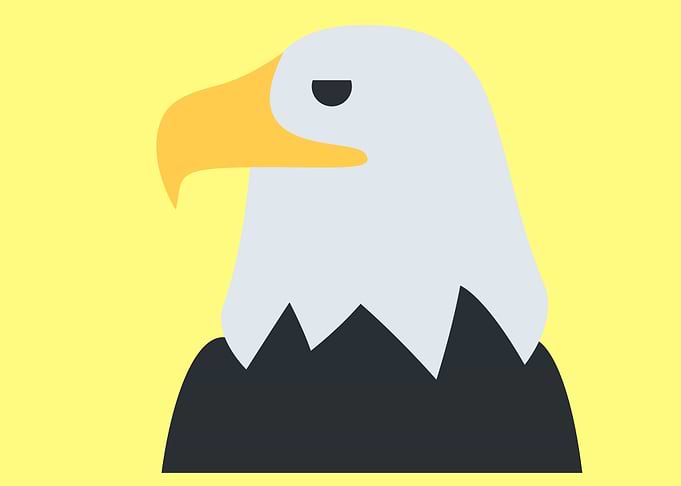 cute drawing of a bird