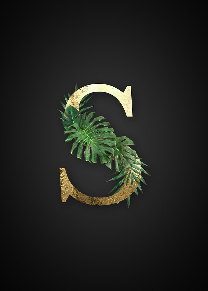 Alphabet s