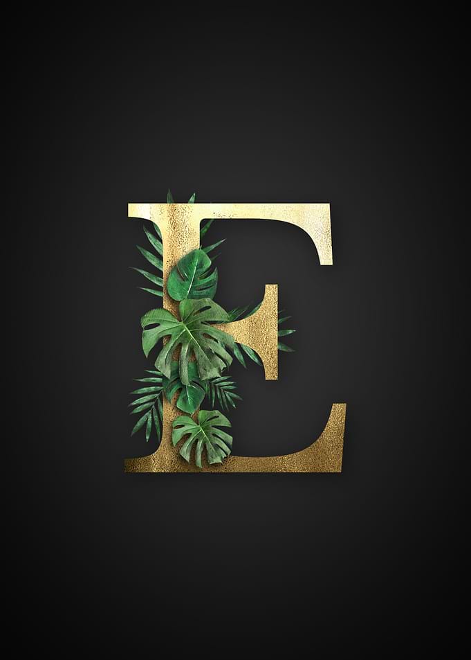 Alphabet e