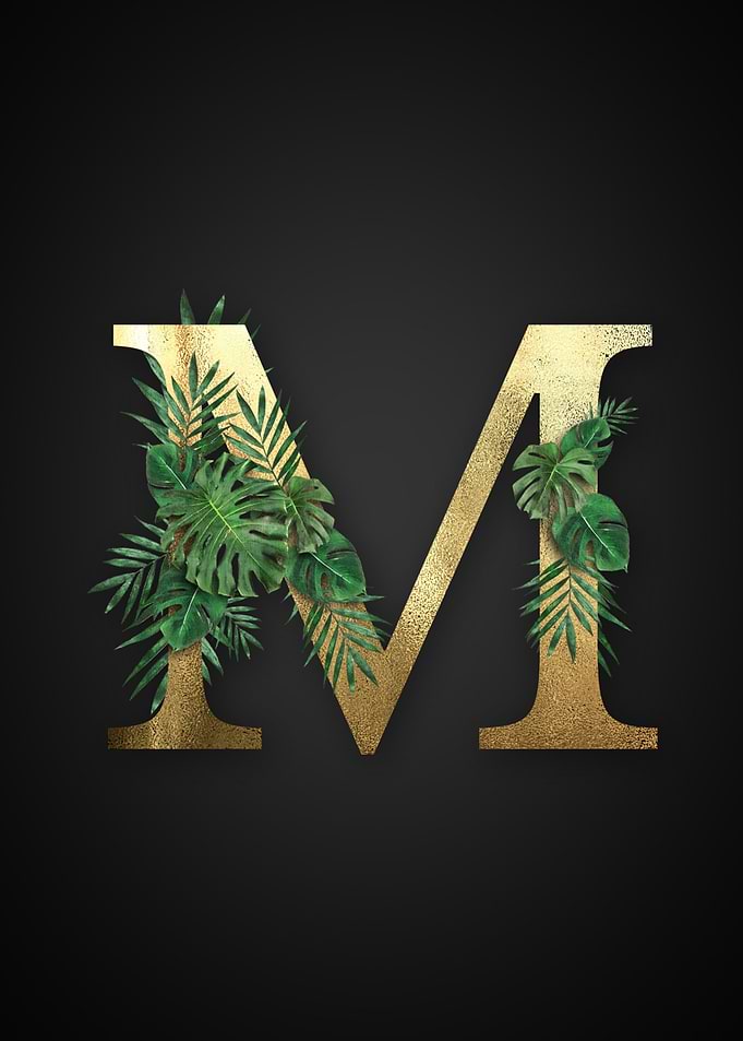 Alphabet m