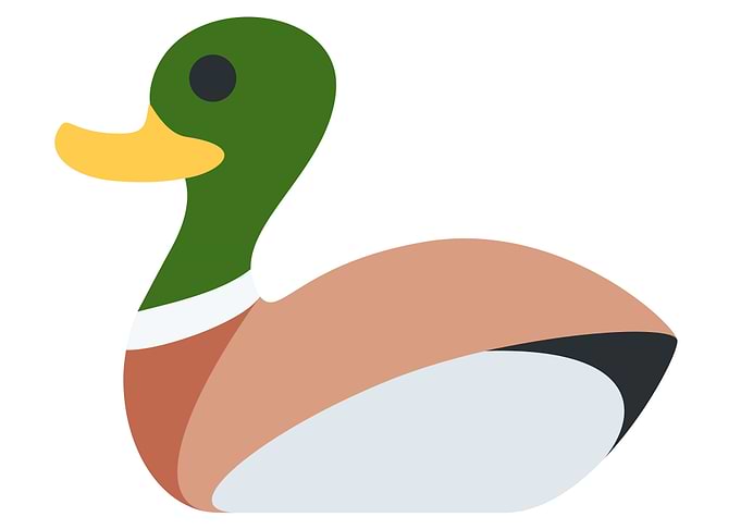 cute drawing of a bird