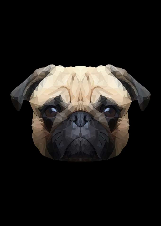 Low Polygon Dog