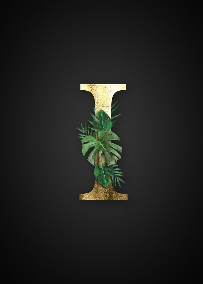 Alphabet i