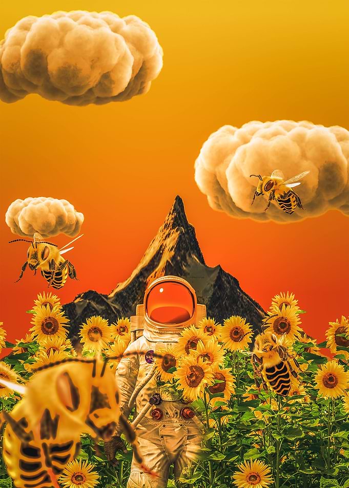 Flower Boy