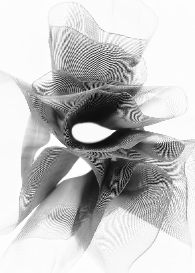 Black bow