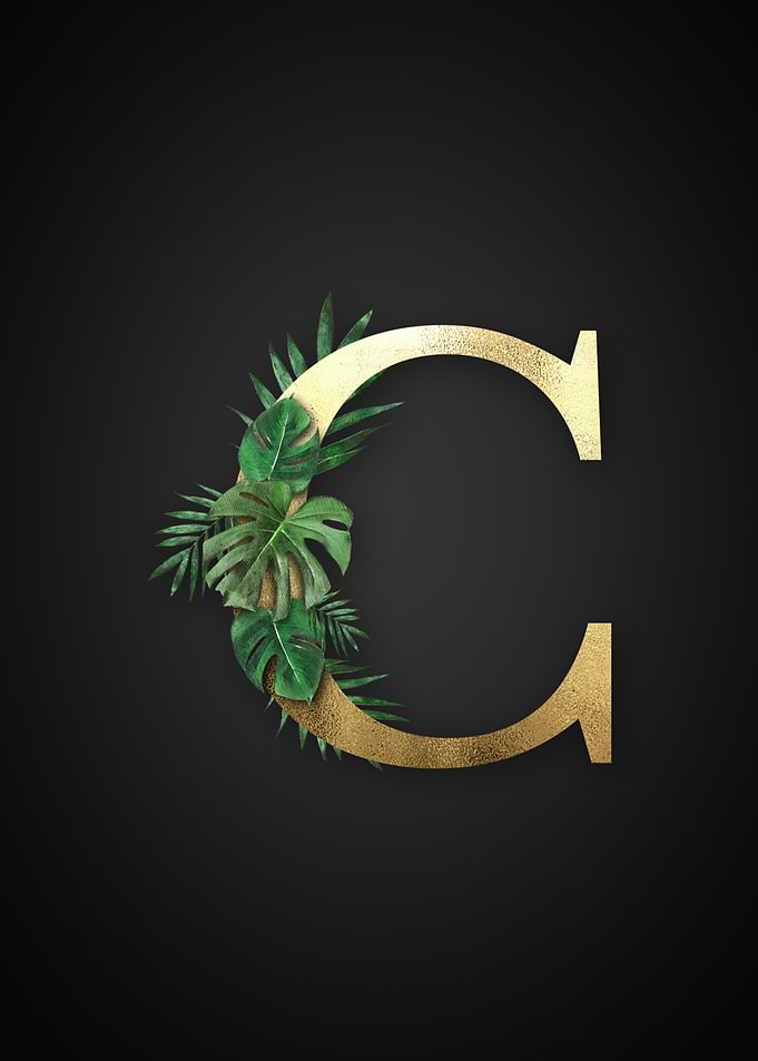 Alphabet c