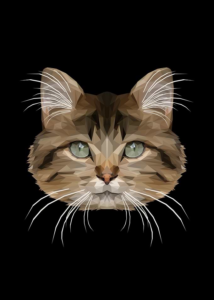 LOW POLYGON CAT