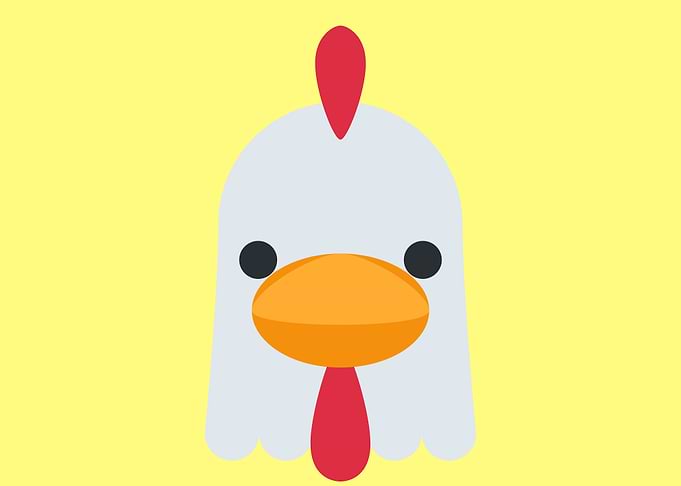 cute drawing of a bird