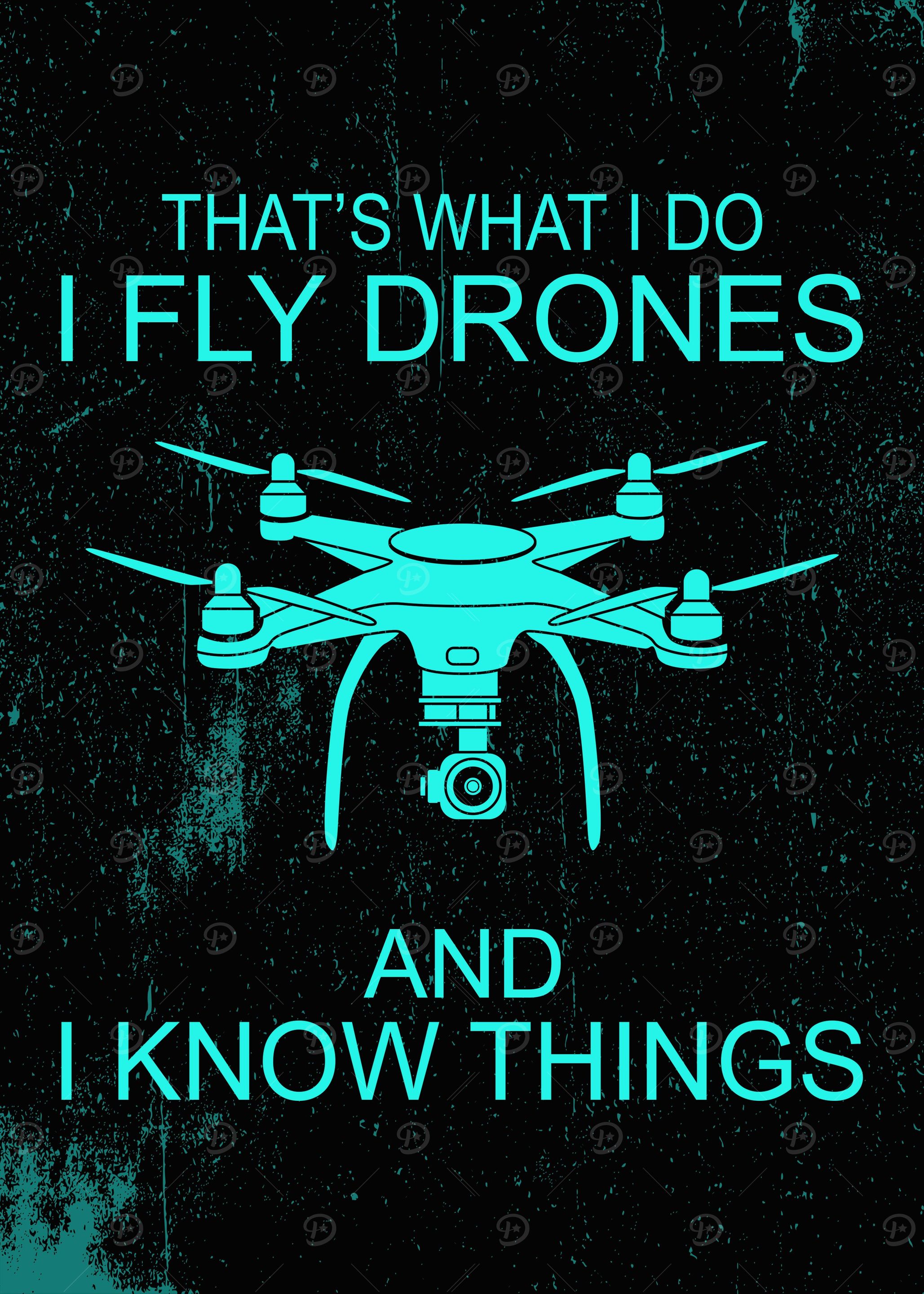 DRONE PILOT FUNNY GIFT