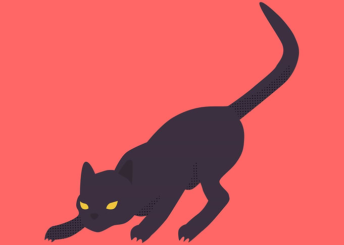 cute and funny cat art